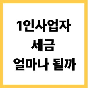 1인사업자 세금 얼마나 될까