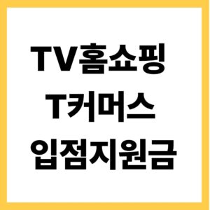 TV홈쇼핑 T커머스 입점지원금