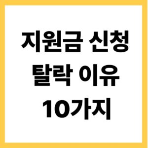지원금 신청 탈락이유 10가지