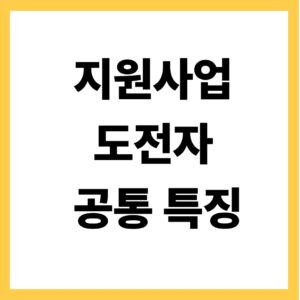 지원사업 도전자 공통특징